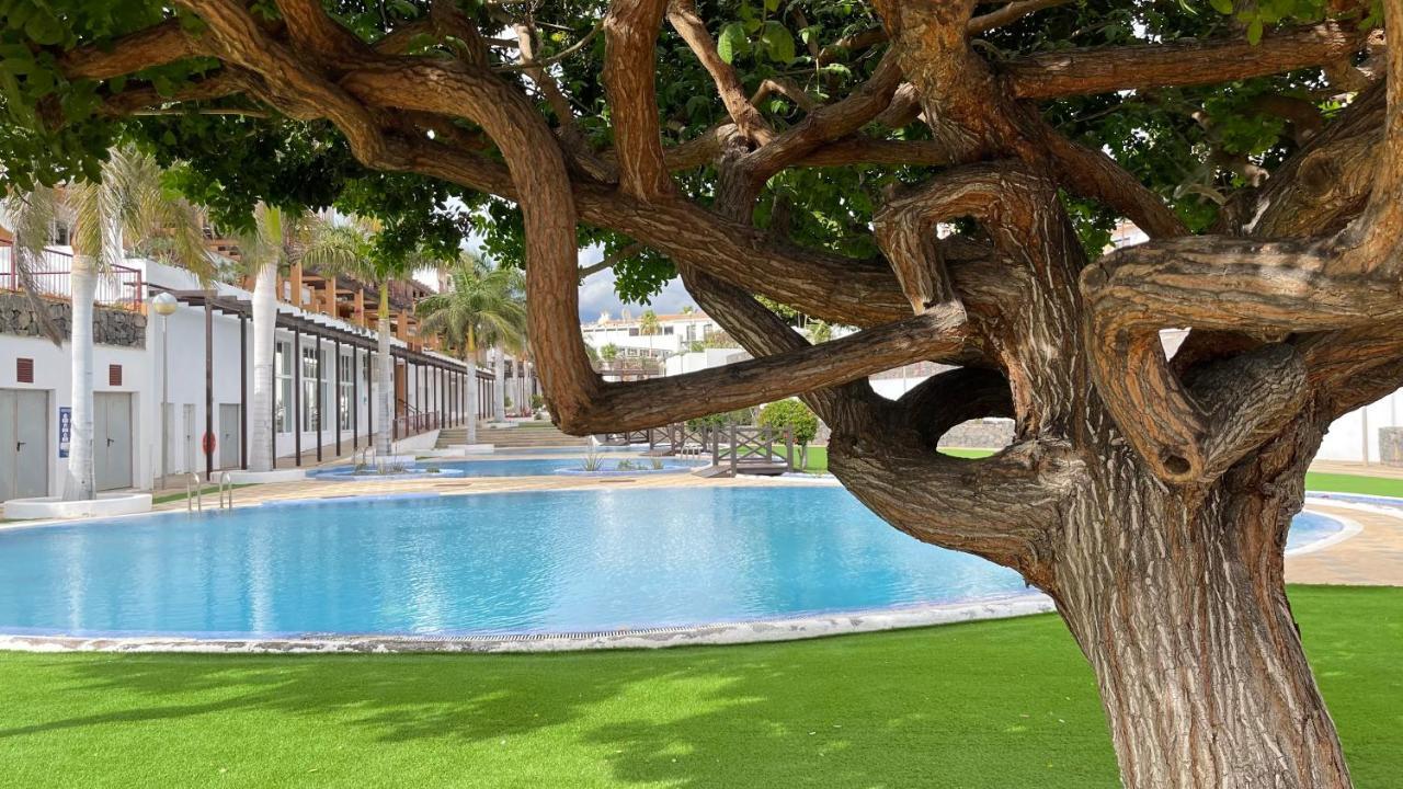 Casa Helen 2 Tenerife Sur Lägenhet San Miguel de Abona Exteriör bild